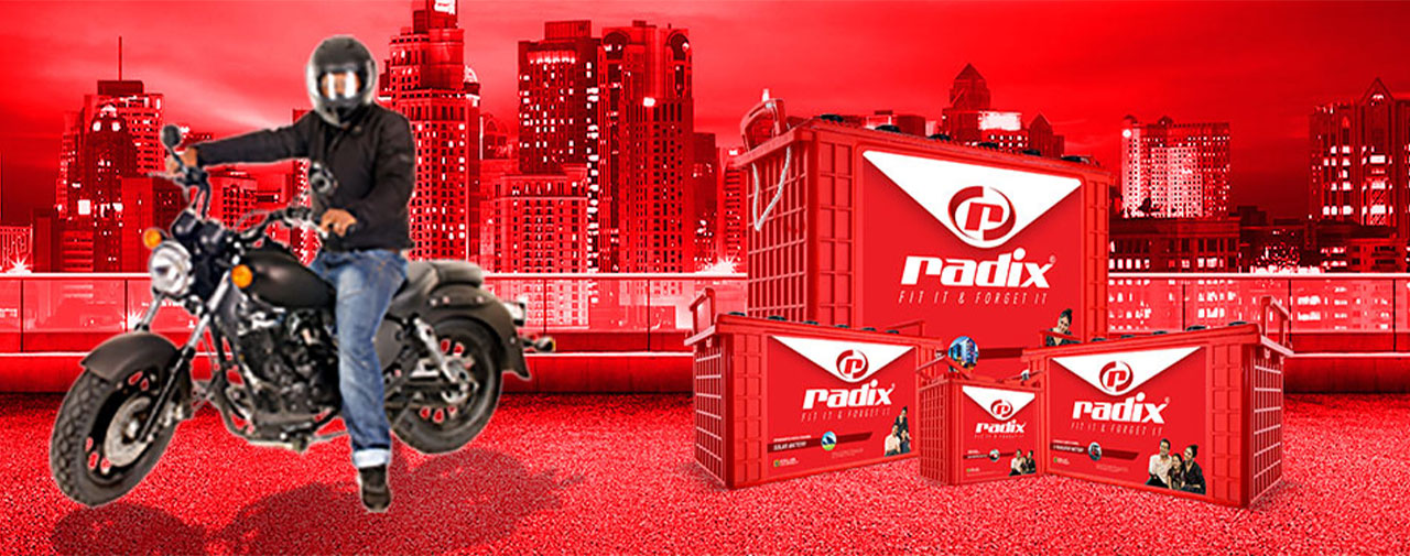 bike battery manufacture in india